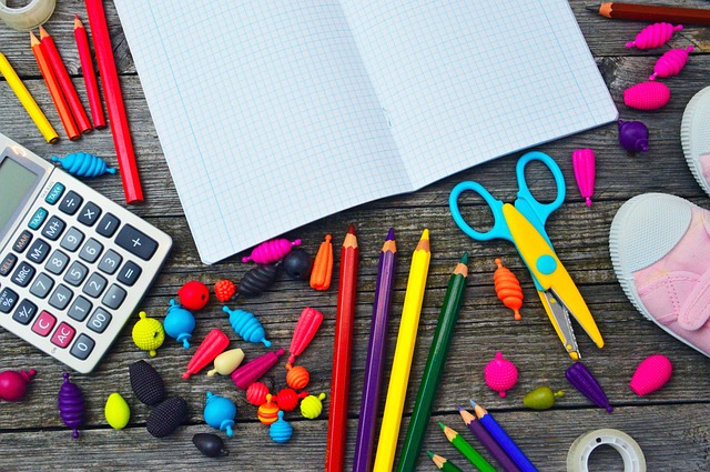 Die Verbindung von Theorie und Praxis in Handelshochschulen